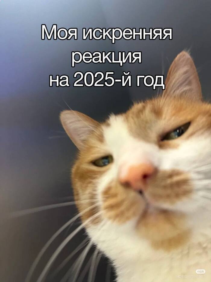 2025    , , 2025, , 