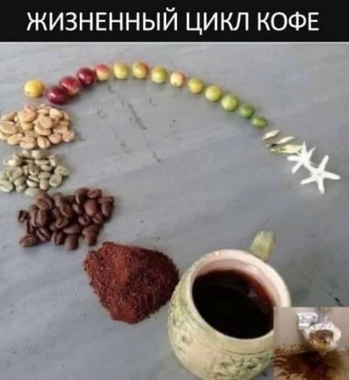 Ответ на пост «Наблюдение про кофе»