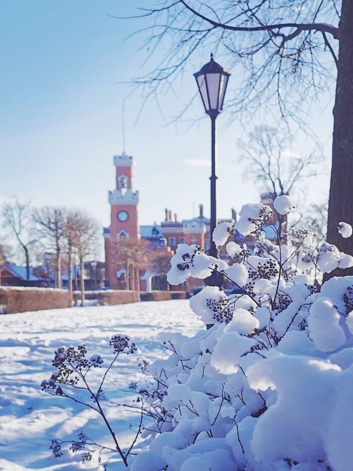 Зимний пейзаж