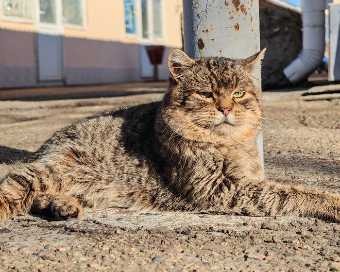 �������� �����