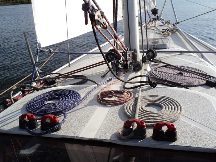 ������� ����