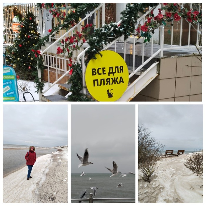 ,  ,      ,      ,  ,         !