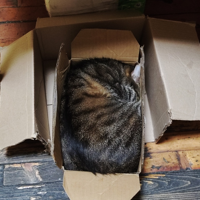 Коробко в коробковое