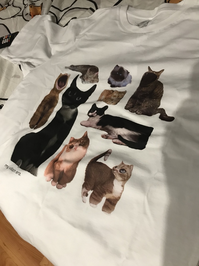     ,     ,        7   .      