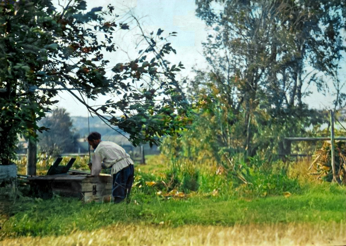 Подборка интересных и необычных фотографий Российской Империи. 20 раскрашенных фотографий. Часть IX Историческое фото, Старое фото, Российская империя, 19 век, 20 век, История России, Колоризация, Фотография, Длиннопост