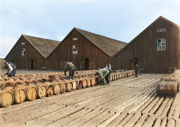 Подборка интересных и необычных фотографий Российской Империи. 20 раскрашенных фотографий. Часть IX Историческое фото, Старое фото, Российская империя, 19 век, 20 век, История России, Колоризация, Фотография, Длиннопост