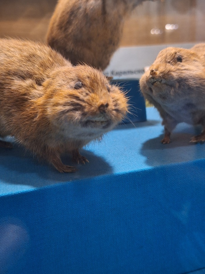 Заблудился, парень?