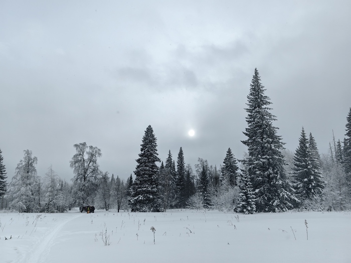 ������� ������������ ������