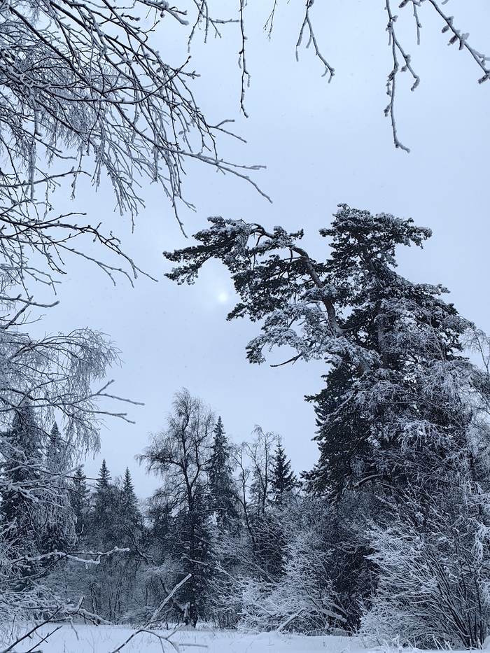 ��������, ������ ����� ������ �� 10, � ����� ������� ����