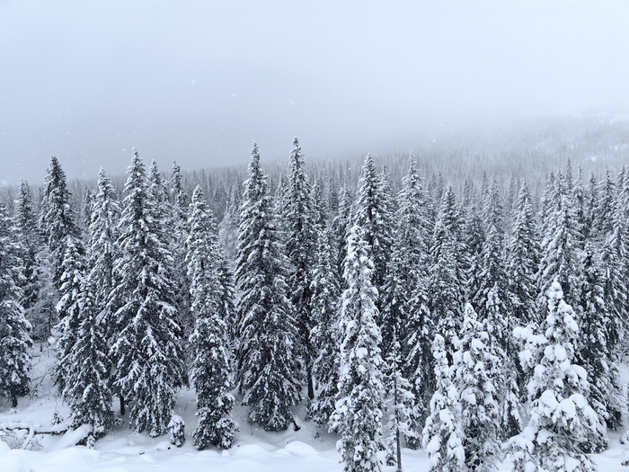 ��� ������� �� ����� �����