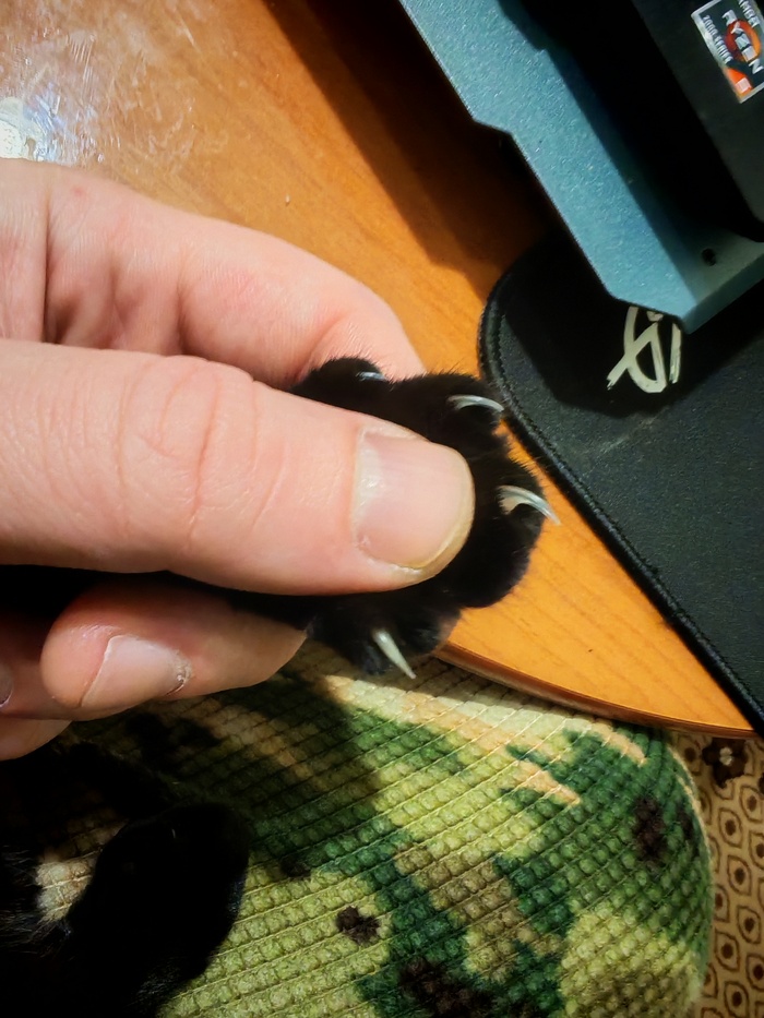 ����� ��� ��������� ��������������. 