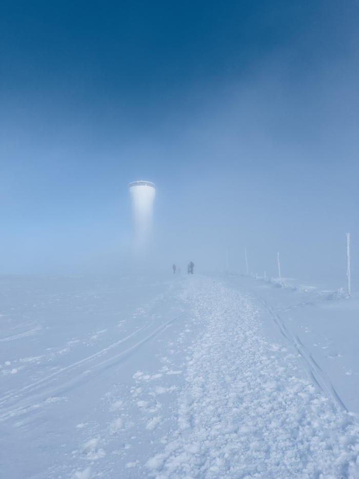     &#x15A;nie&#x17C;nik (1425    ) 