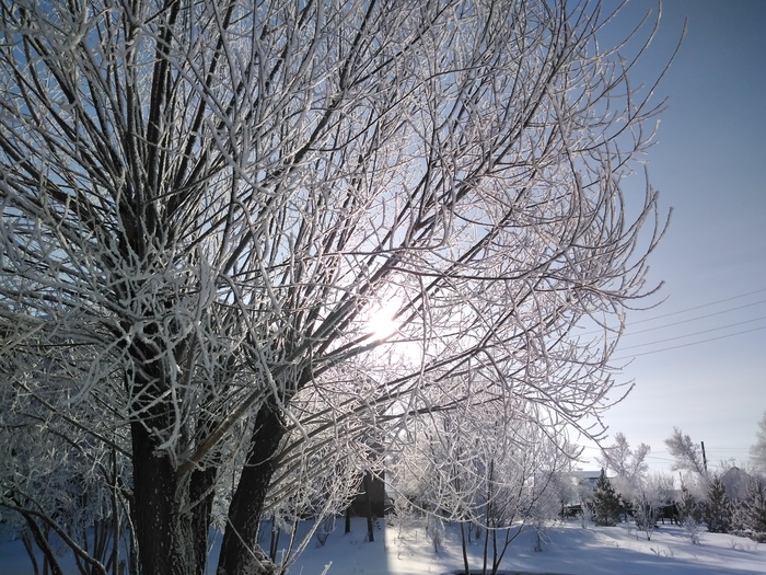 Ответ на пост «Конкурс зимних фотографий на Пикабу» Новый Год, Пикабу, Конкурс, Спрятано в 2024, Фотография, Волна постов, Ответ на пост, Длиннопост