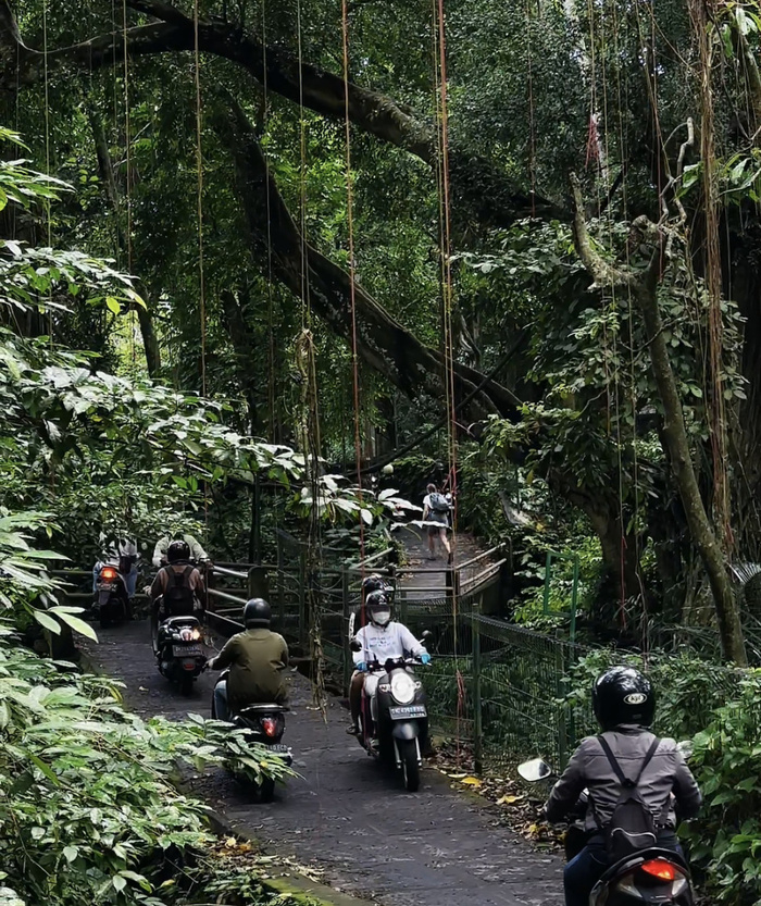 Все смешалось — пешеходы, скутеры...