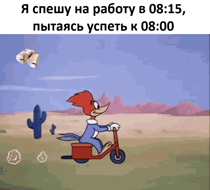 Сегодня можно