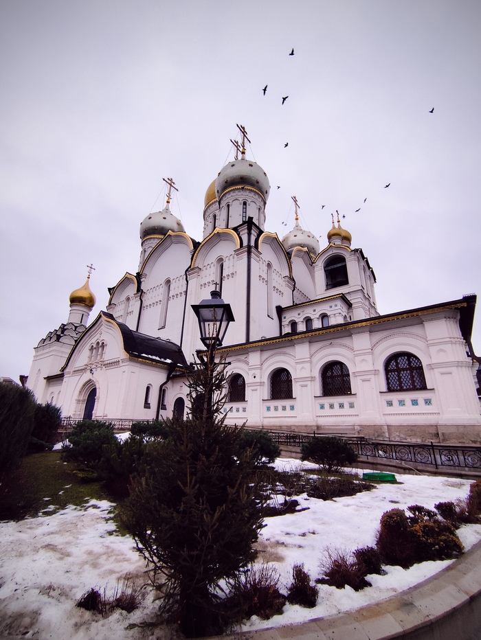 Зачатьевский ставропигиальный женский монастырь