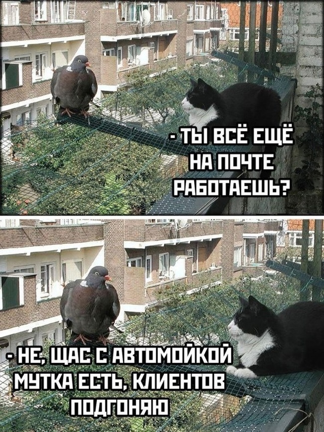      , , , , Telegram (), , 