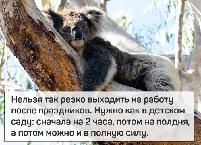 Первый рабочий день - Юмор, Картинка с текстом, Грустный юмор