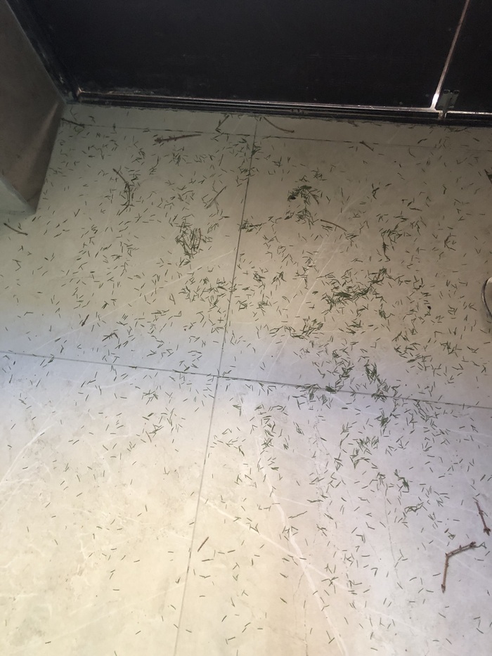 Скоро во всех подъездах страны