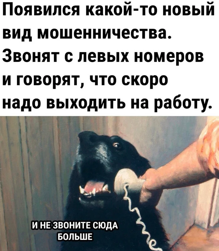 ОСТОРОЖНО! Новый вид мошенничества;) - Картинка с текстом, Юмор, Мемы