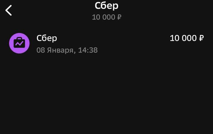 Первое пополнение счет в 25 г состоялось, закинул привычную мне уже десяточку