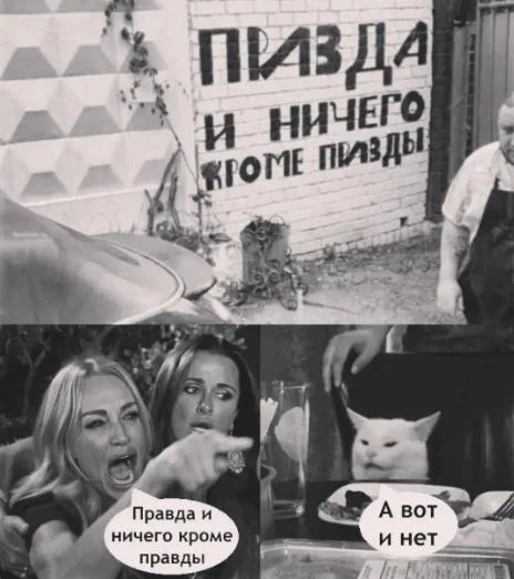 Как в жизни - Две женщины орут на кота, Картинки, Странный юмор, Мат, Картинка с текстом