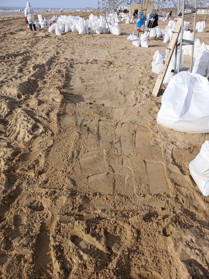 вот с такого участка мешков 8-10 песка вывозят