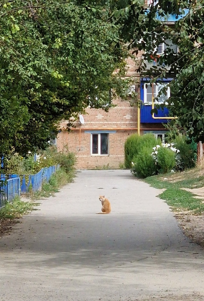 ��������� ������� � ���������� ������. ���� �� �����, ��� �������. ��������������� ������ ��������. �� ������ ����� � �����������. ������ ������ � ����� ������� :(