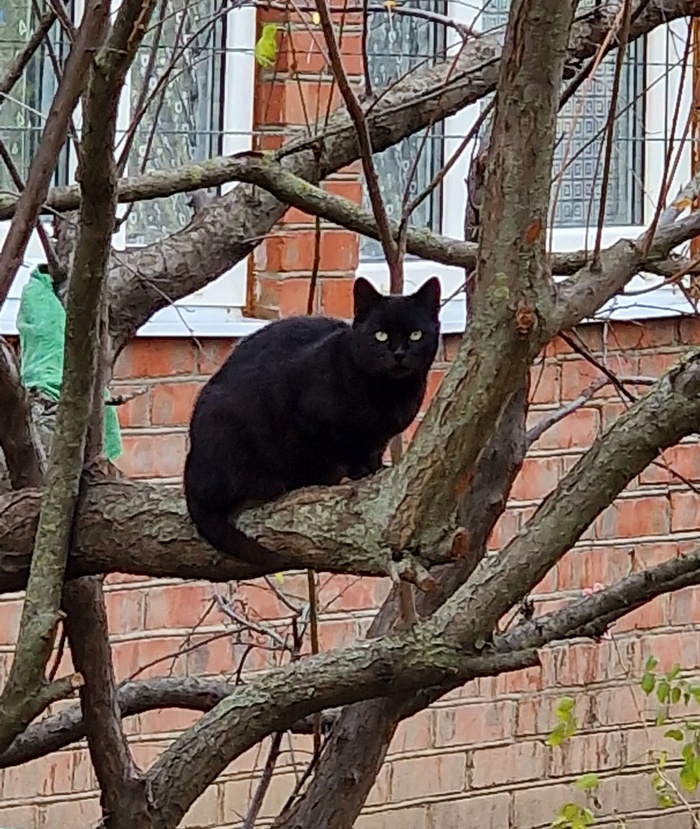 ׸���� ������ - ������ ������ �� �����. �� ����� ��������������� ������ ��������.:)