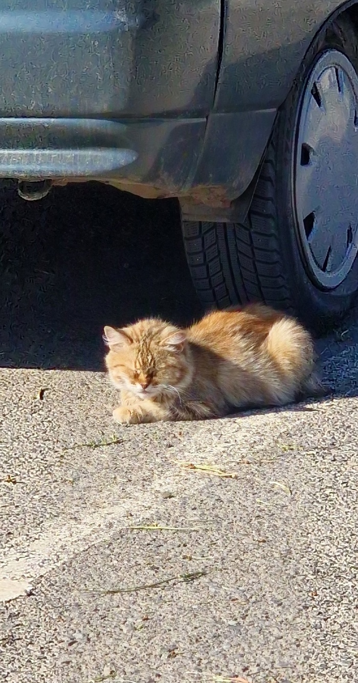 ���� �� � ��� ������. ��� ����� �������� �������?