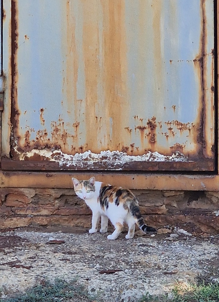 �������� ���: "��� ����� �������, ��������!"