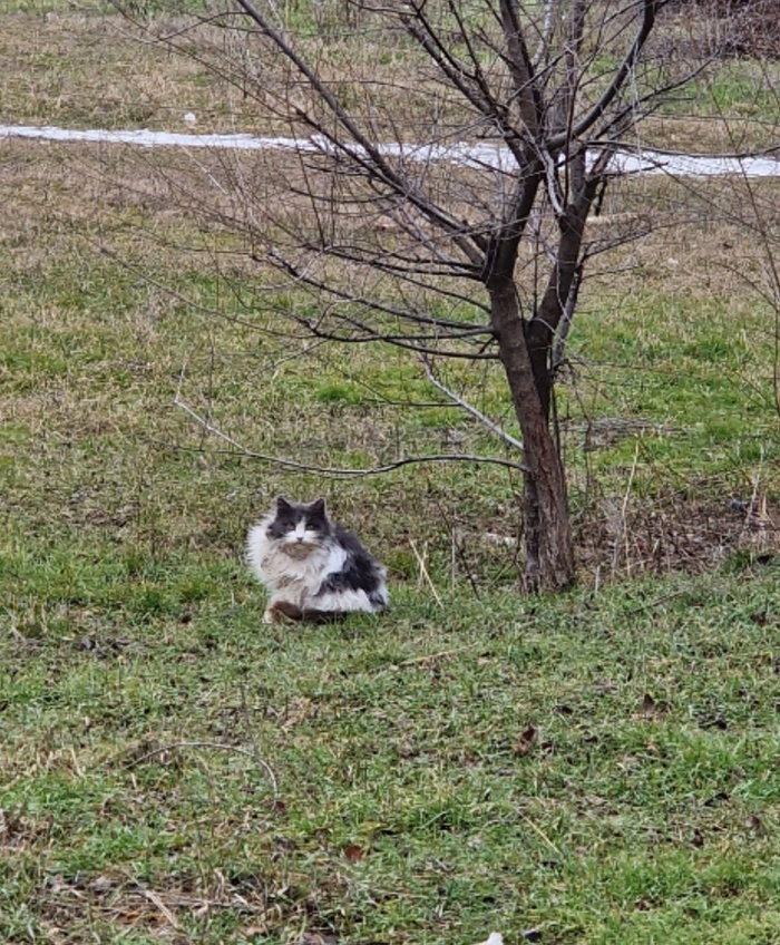 ��� ���� ������� ������� �� �������. ������ �� �����, ���� �� ������ ��������� ����. ��� �� "��������", �� ���� ������ ����� �������.