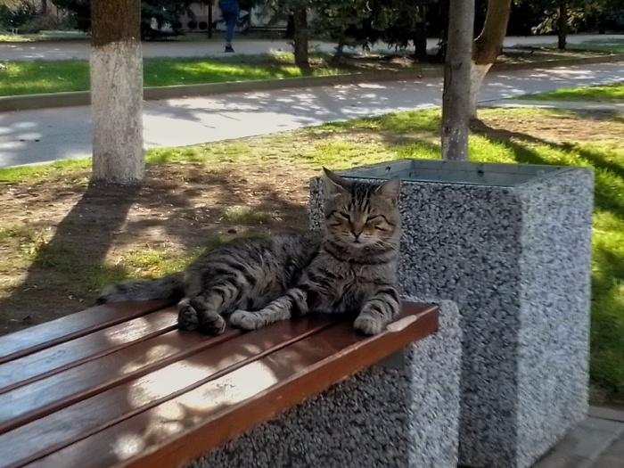 "���� ��� ����, ������"