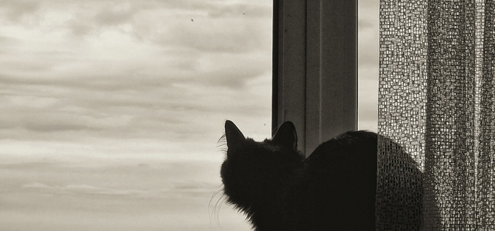 �� � �� ������� ��� �������� ��� �� ������ �����. ������� ����� ��������� �� ����� ����. :(