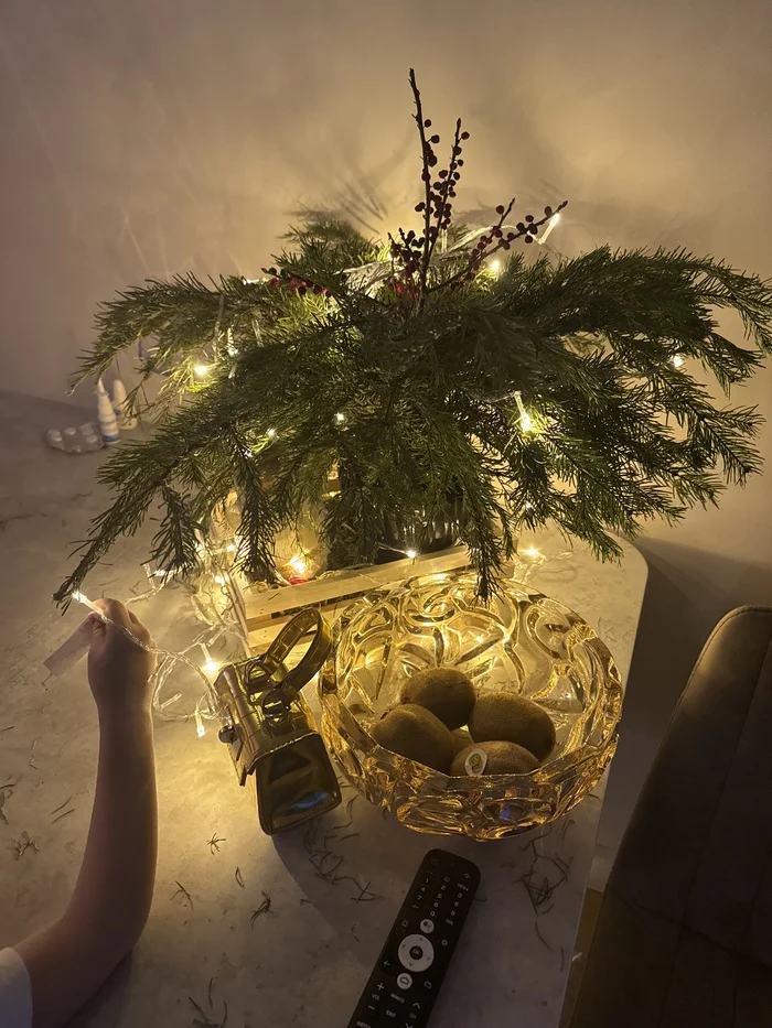 I am one of those who did not return the purchased garland for New Year's. - New Year, Garland, Consumer extremism