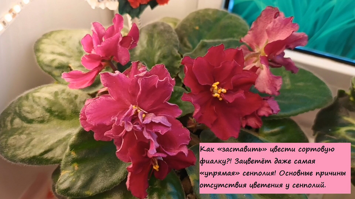     ?!     !        , , , , , , , , , , , , , , ,  , , , , 