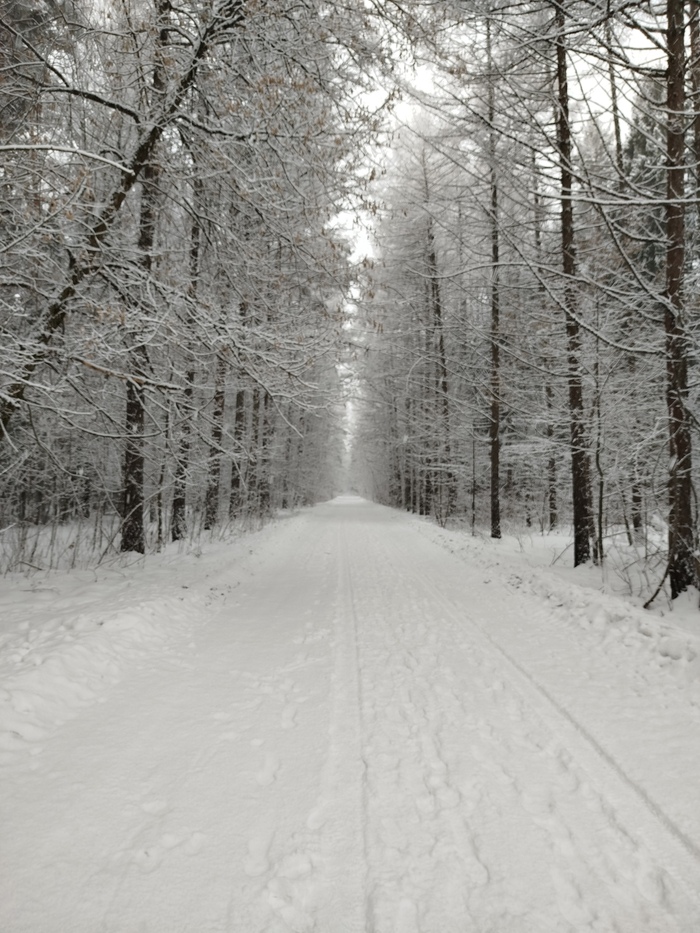 Ответ на пост «Конкурс зимних фотографий на Пикабу»