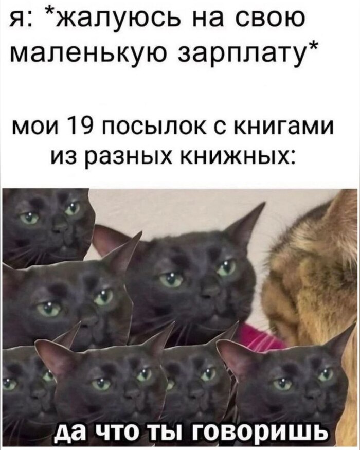       ,   , , , , 