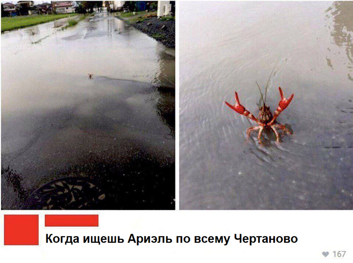 ,      !