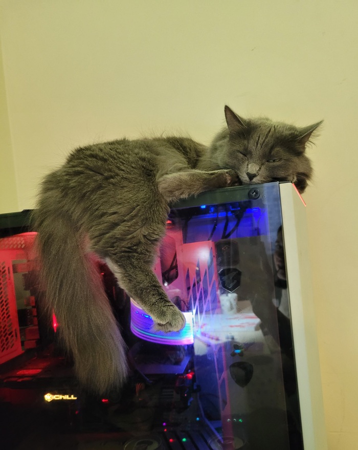  , ,  ,  ,  , ,  