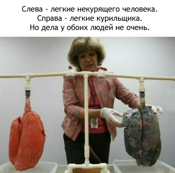   ,   ,  , Telegram (), ,  