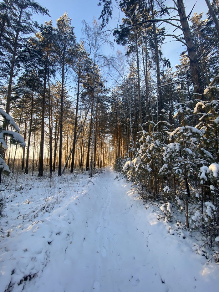 ����� �������� ���� �����, ��������� 🪄