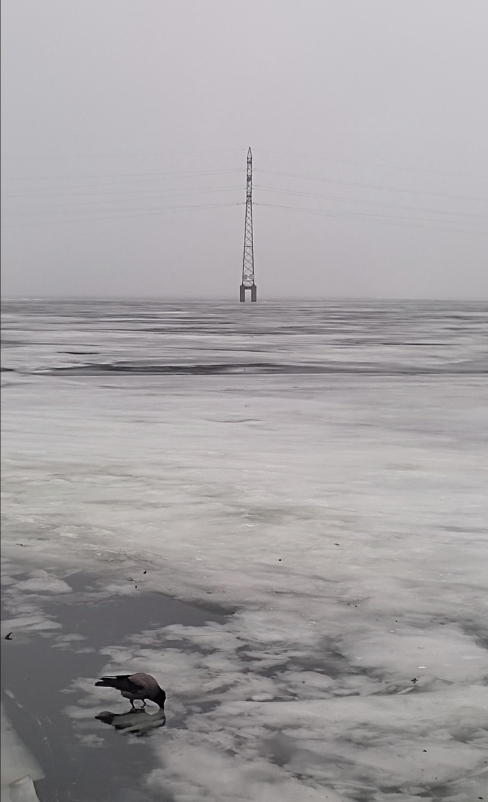 ����� �� ���� �������� ������ ���������� �� ������