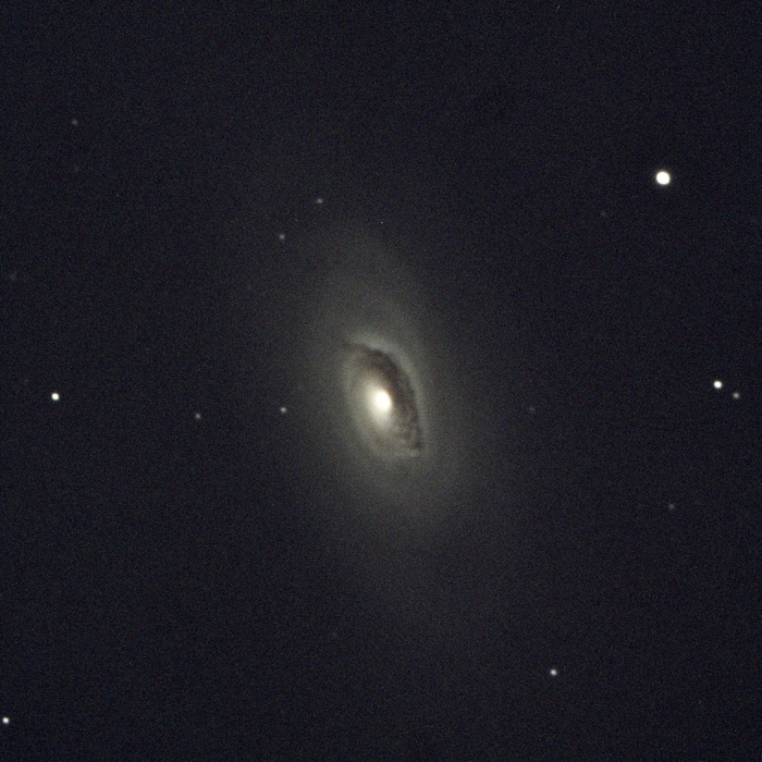 ׸         . ?    NGC 4826    ! , ,  , , , ,  