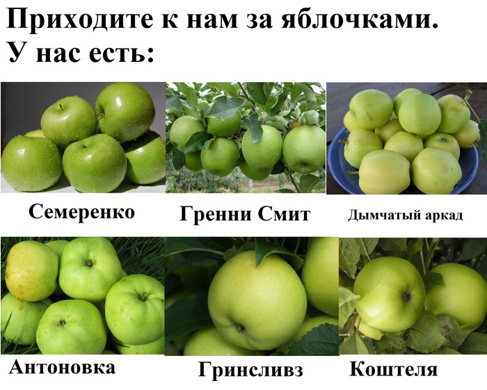 Ответ OceanPlanet в «Кассир пятерочки хотел обмануть покупательницу»