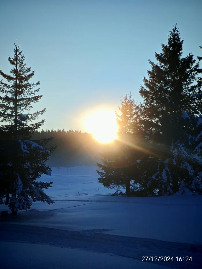 Reply to the post Winter Photo Contest on Pikabu - Longpost, Reply to post, A wave of posts, The photo, Tucked away in 2024, Competition, Peekaboo, New Year, My