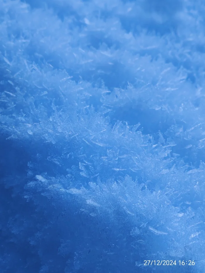 Reply to the post Winter Photo Contest on Pikabu - Longpost, Reply to post, A wave of posts, The photo, Tucked away in 2024, Competition, Peekaboo, New Year, My