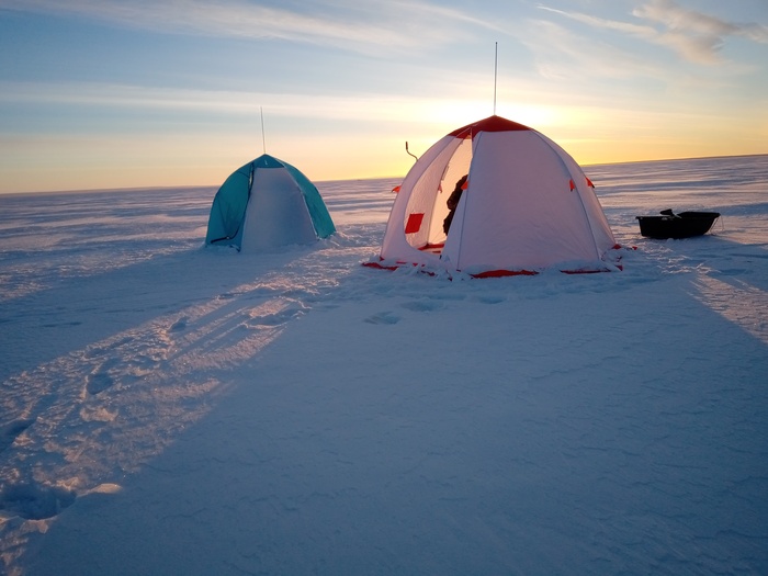 �����, ����. 