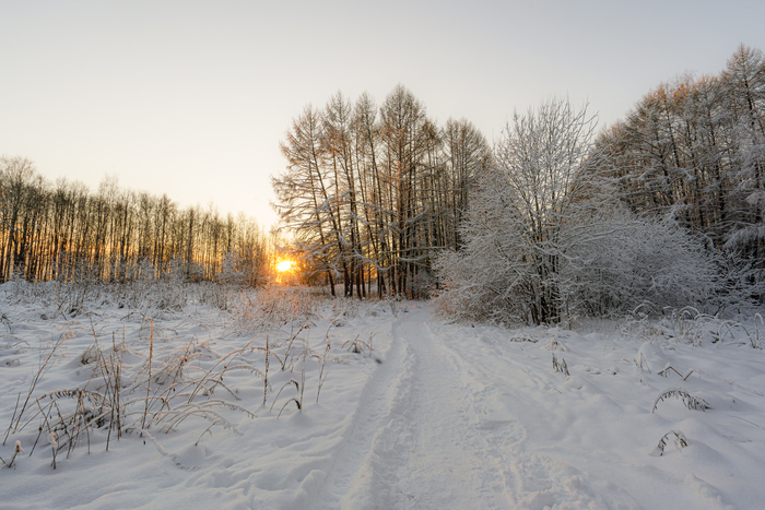 ����� � ��������� �����