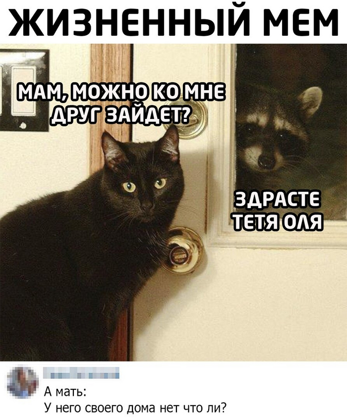   , ,   , 